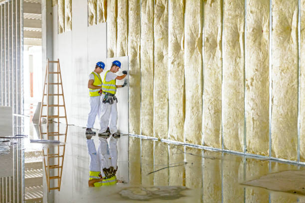 Best Residential Insulation Services  in Charlestown, MD